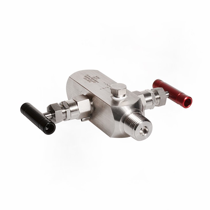 2 Way Valve Manifold
